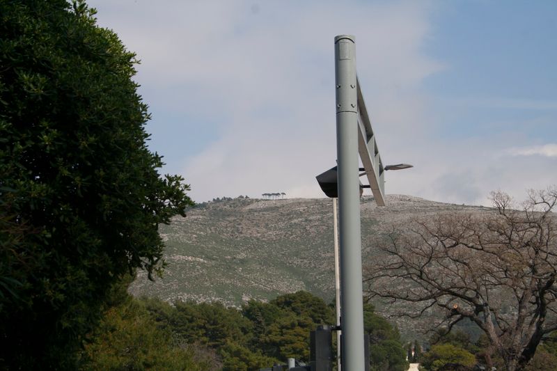 © Nives Sertić - Nives Sertić - 3 to 10, Trees #04