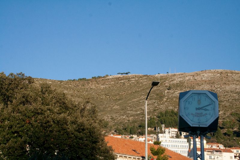 © Nives Sertić - Nives Sertić - 3 to 10, Trees #09