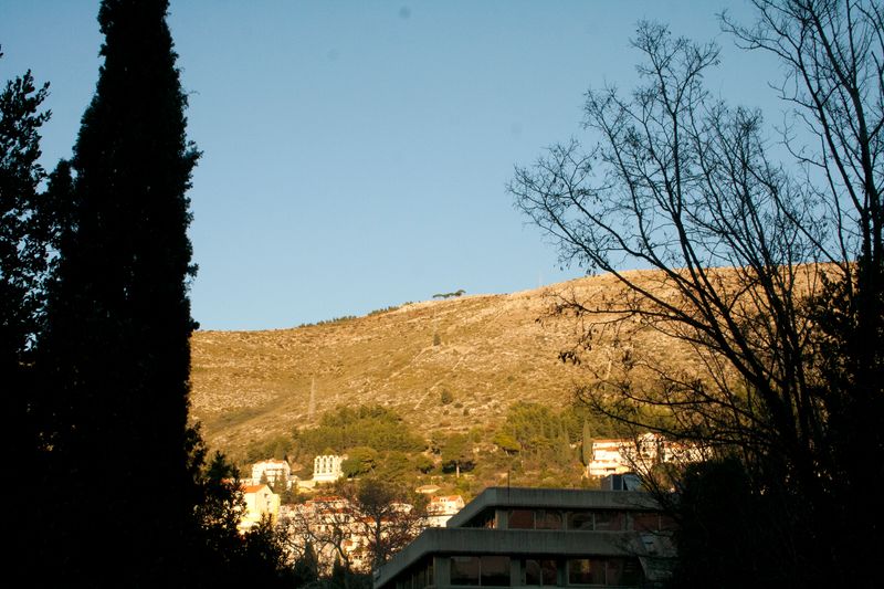 © Nives Sertić - Nives Sertić - 3 to 10, Trees #11