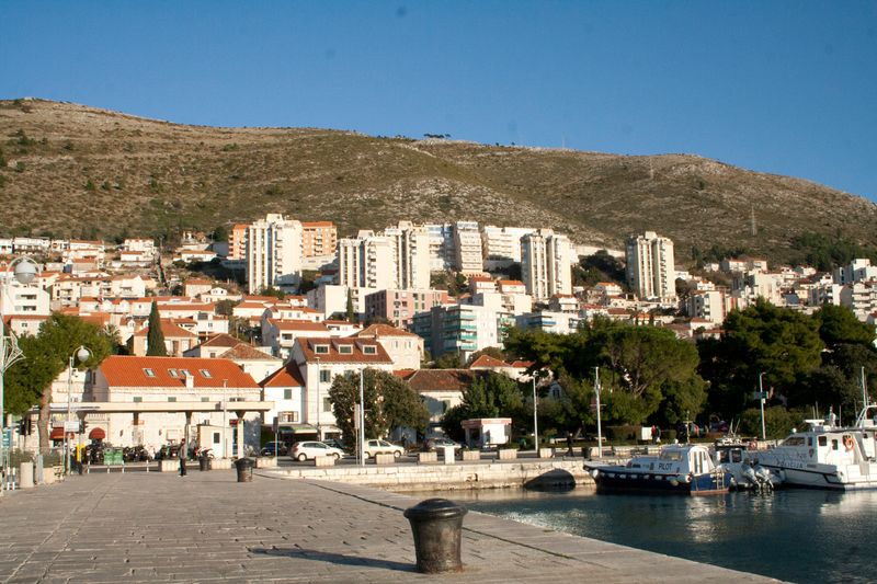 © Nives Sertić - Nives Sertić - 3 to 10, Trees #07