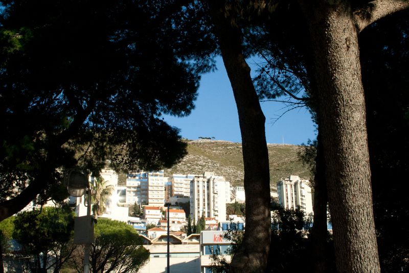 © Nives Sertić - Nives Sertić - 3 to 10, Trees #05