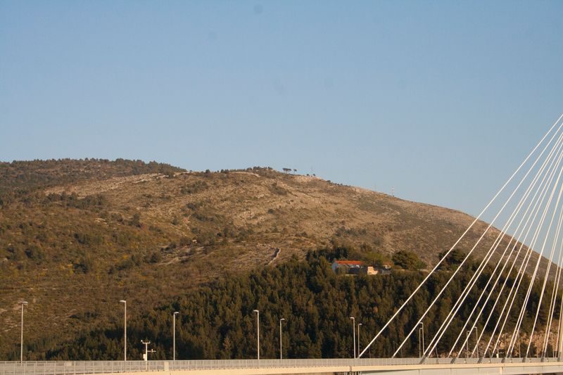 © Nives Sertić - Nives Sertić - 3 to 10, Trees #13