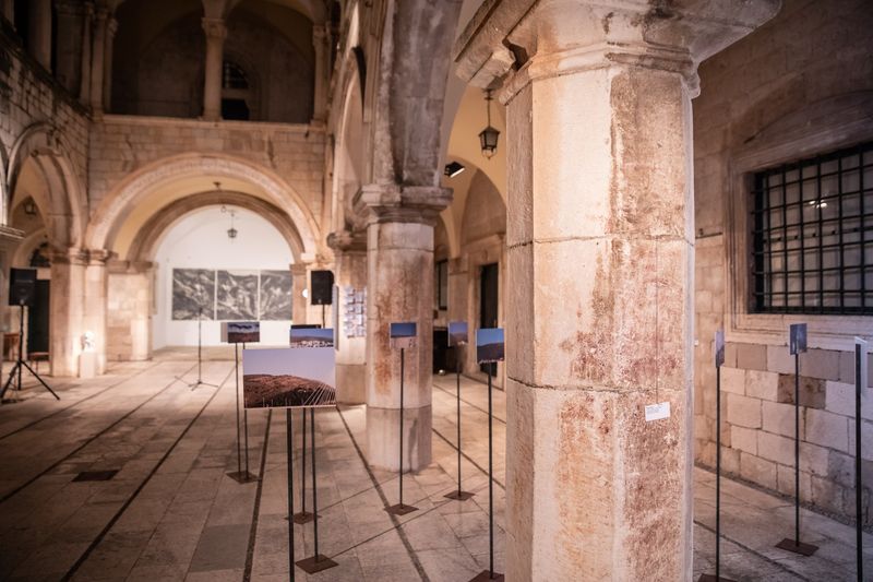© Nives Sertić - 3 to 10, Trees @ Terrors of The Homeland, Sponza, Dubrovnik, Croatia, 2018, photo Marko Ercegović