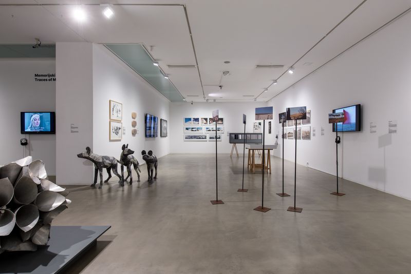 © Nives Sertić - 3 to 10, Trees @ The Visible Ones, Museum of Fine Arts Split, Croatia, 2024, photo Robert Matić