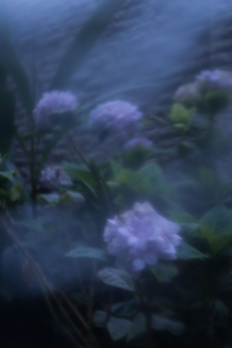 © Camila Kohata - Image from the An illustration of Insomnia photography project