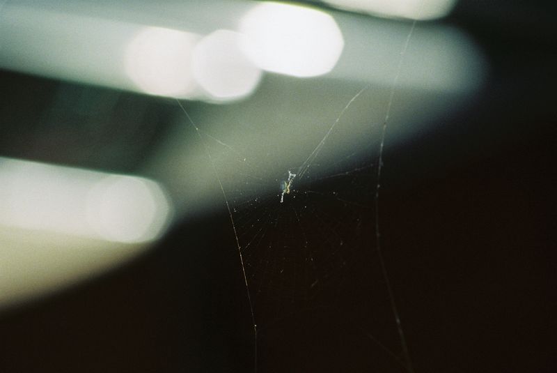 © Camila Kohata - Image from the An illustration of Insomnia photography project