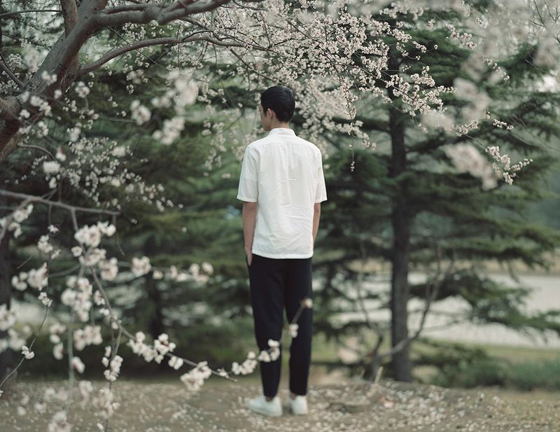 © Bowei Yang - Xie under the cherry tree, Beijing, China, 2016.