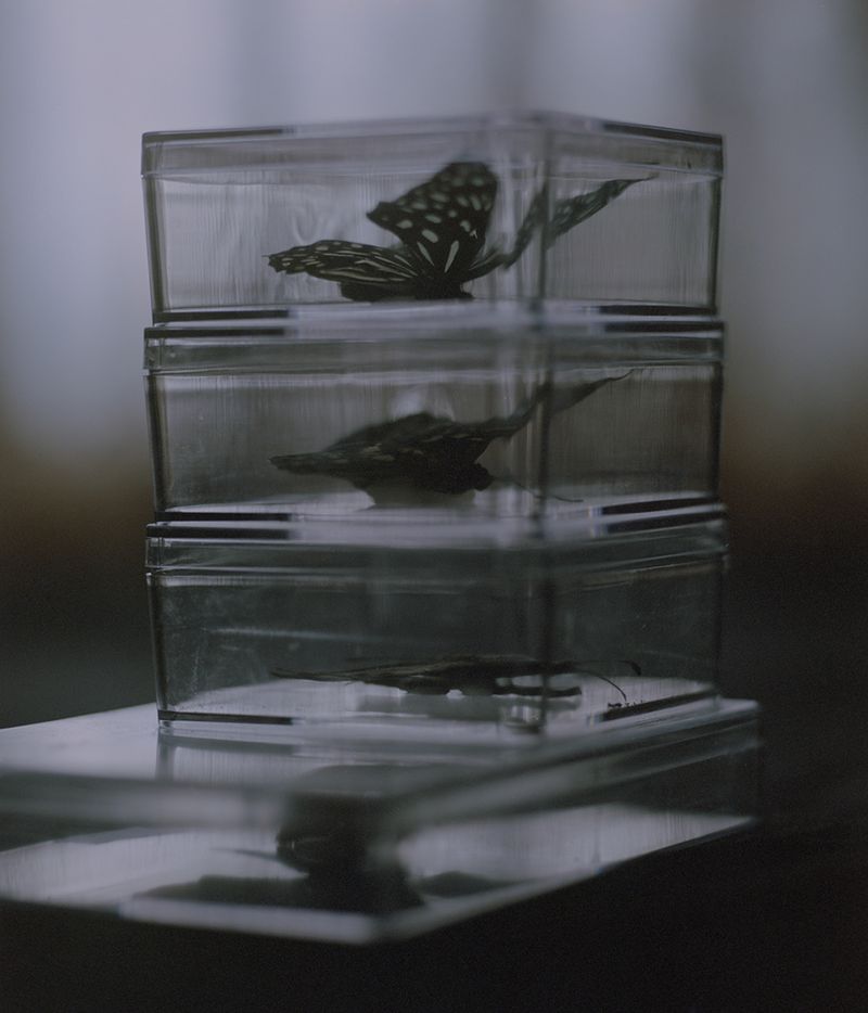 © Bowei Yang - Trapped, Hangzhou, China, 2016.