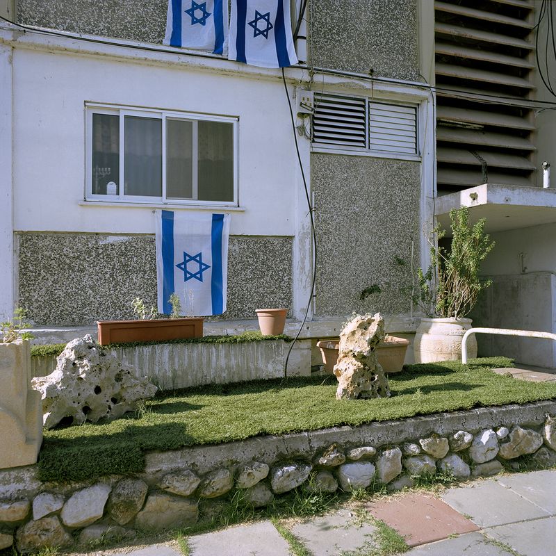 © Demetris Koilalous - Tel Aviv: house with artificial grass lawn