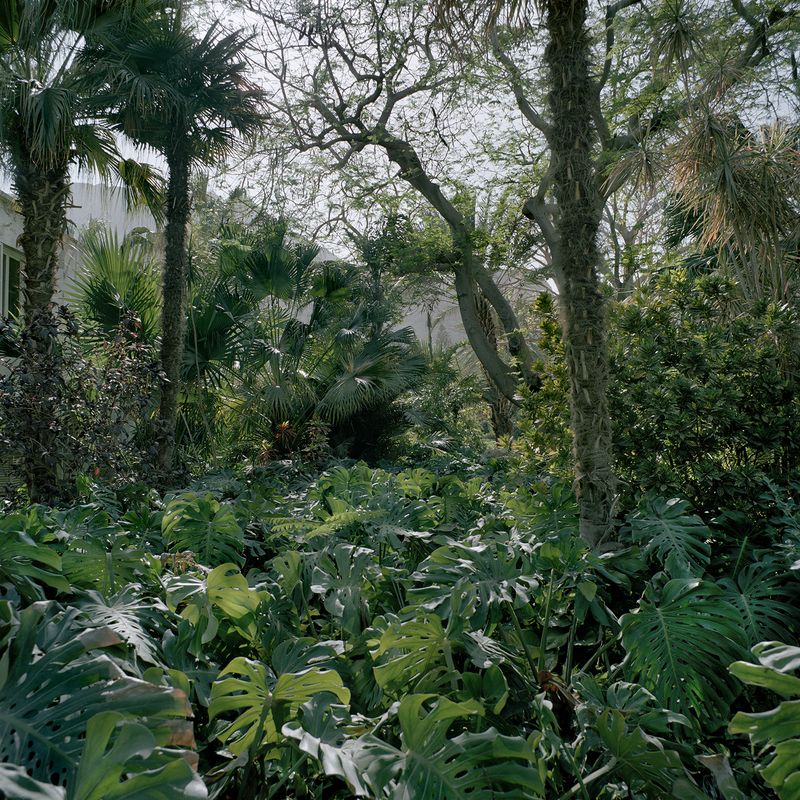 © Demetris Koilalous - manufactured landscape: arificial garden in Ein Gedi Kibbutz