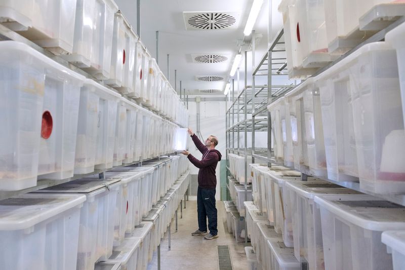 © Maurizio Di Pietro - Image from the ZERO HUNGER photography project