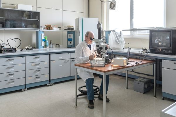 © Maurizio Di Pietro - Image from the ZERO HUNGER photography project