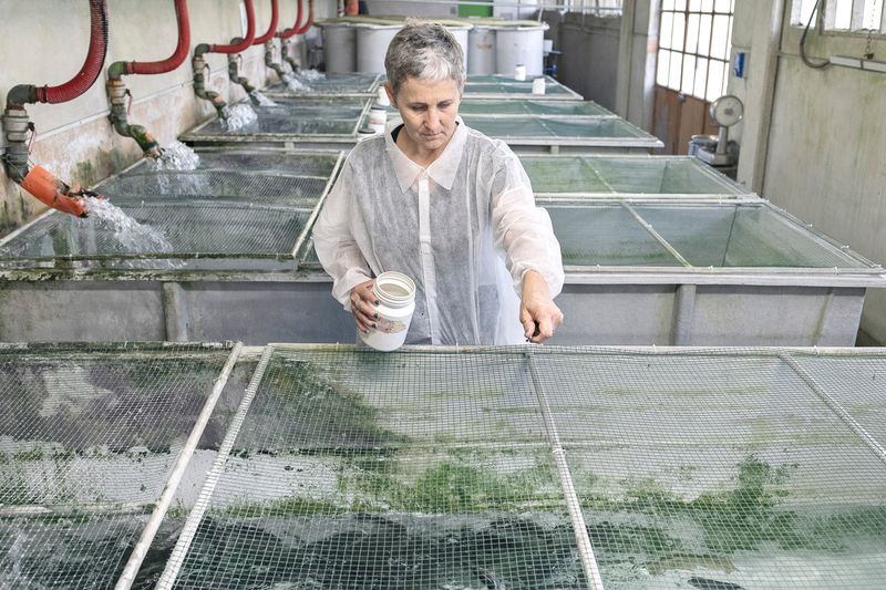 © Maurizio Di Pietro - Image from the ZERO HUNGER photography project