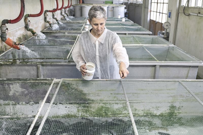 © Maurizio Di Pietro - Image from the ZERO HUNGER photography project