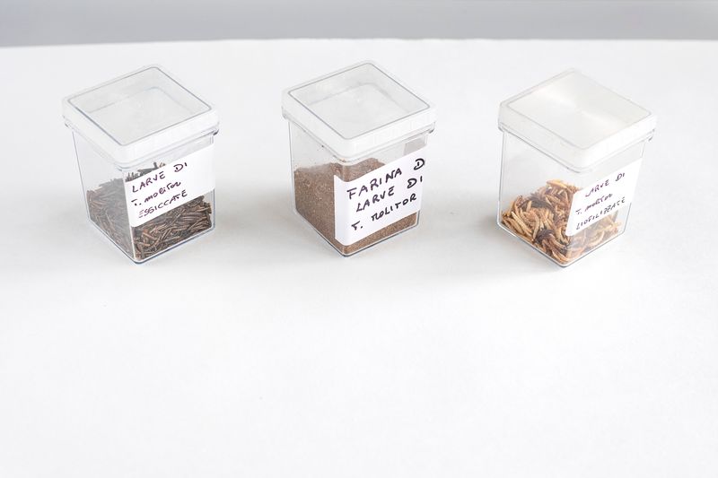 © Maurizio Di Pietro - Image from the ZERO HUNGER photography project