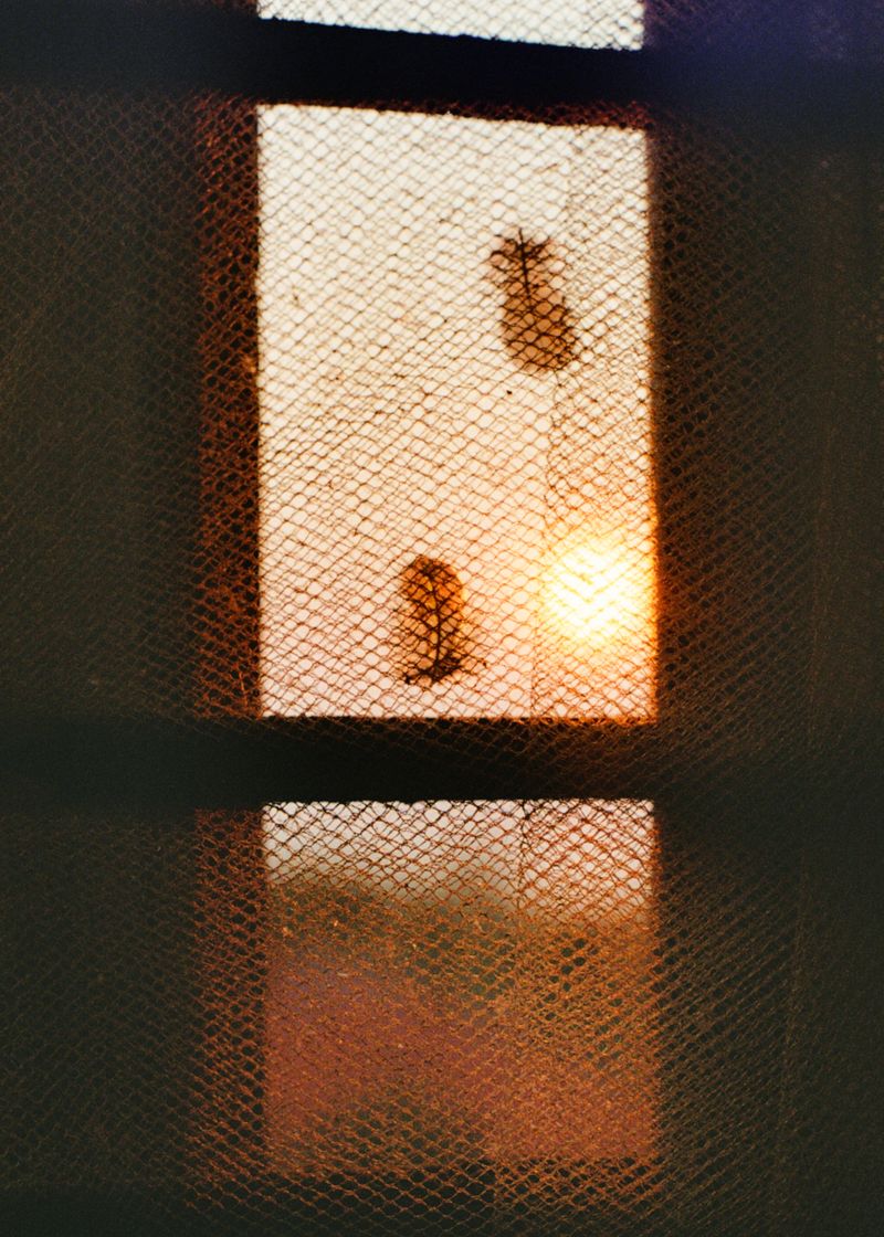 © Francis Brinkman - Image from the a bleeding seeker photography project