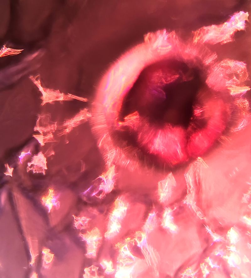 © Monika Blanka Katterwe - Ist das Licht eine quirlige energetische Struktur die weit weg von Gradlinigkeit zu betrachten ist? Let's watch it.