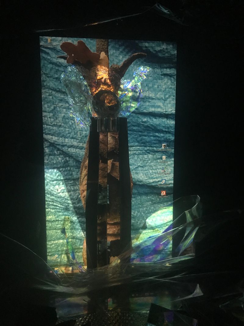 © Monika Blanka Katterwe - Image from the Energy form light, let's watch it photography project