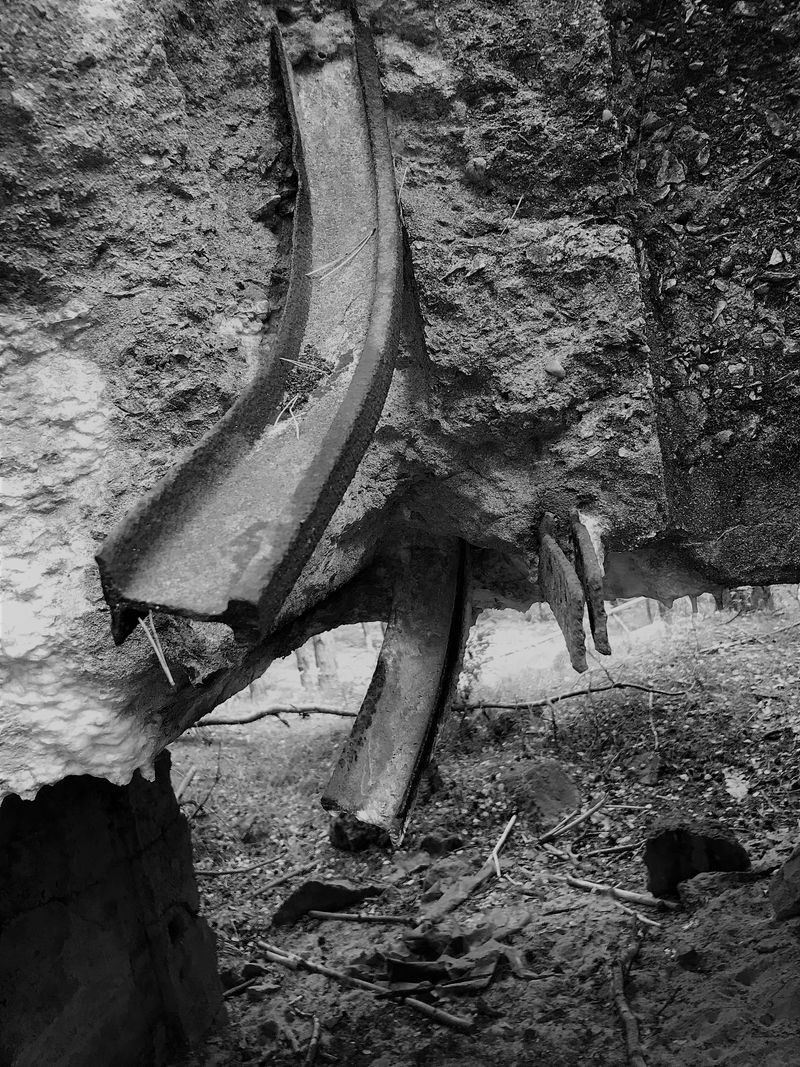 © Monika Blanka Katterwe - "only goes" 23.09.17, forest at Sharp bridge