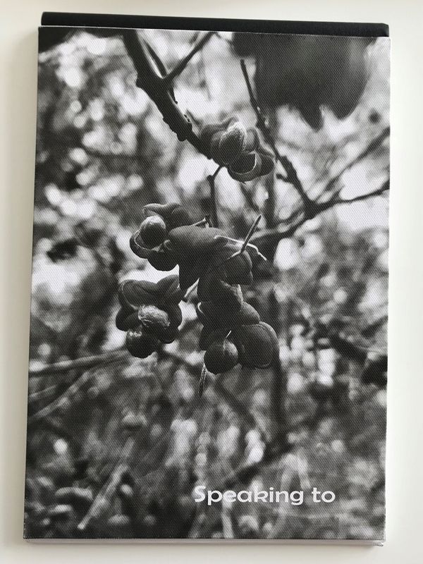 © Monika Blanka Katterwe - My first photo book