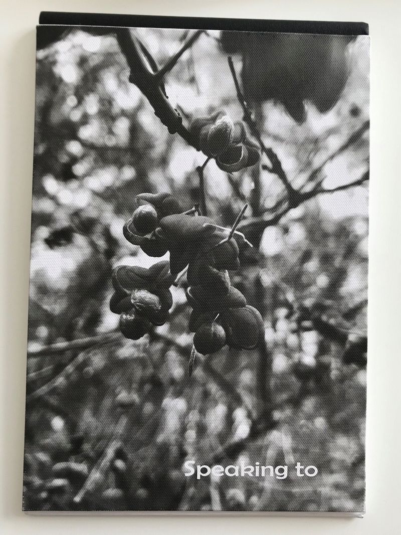 © Monika Blanka Katterwe - My first photo book