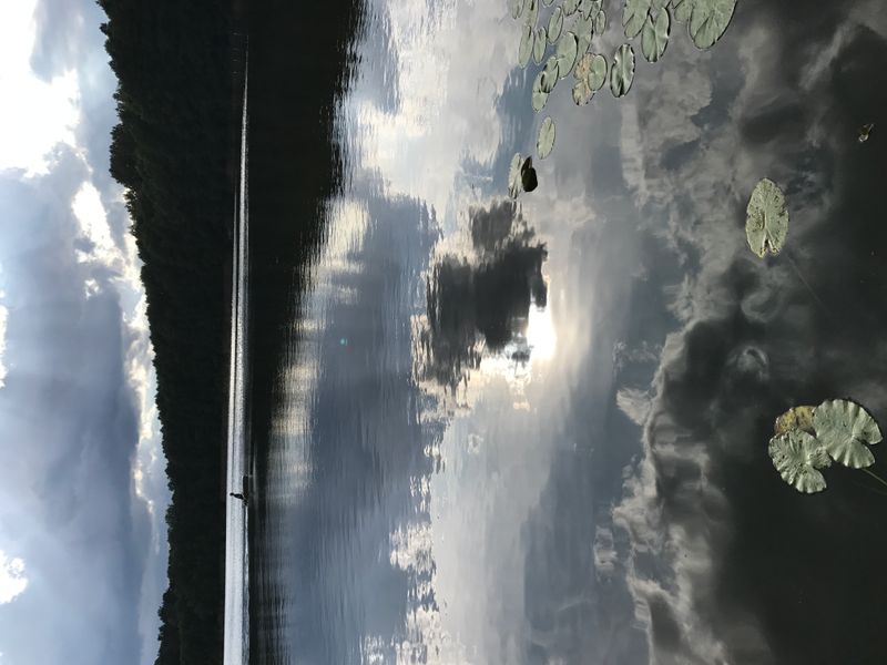 © Monika Blanka Katterwe - "only living on" 2.09.17, Dobbrikow at the Front lake