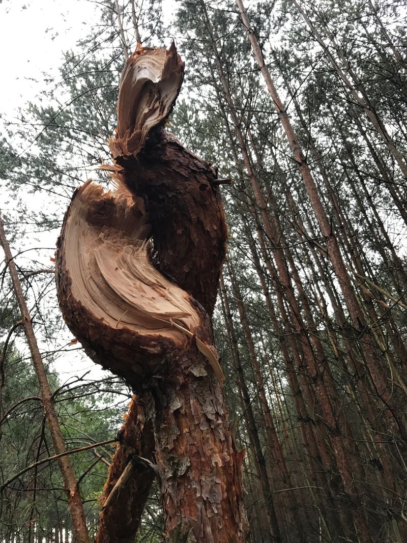 © Monika Blanka Katterwe - "after the" 10.10., Country road between Treuenbrietzen andLuckenwalde