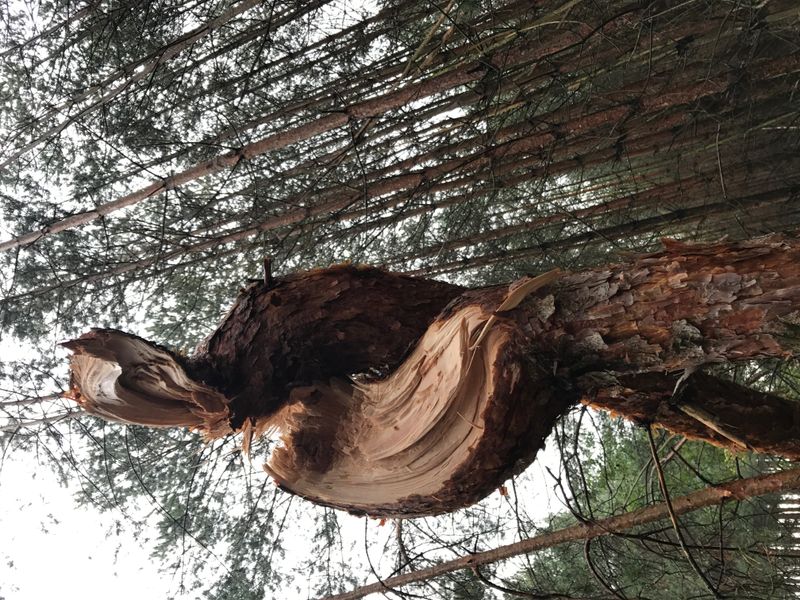 © Monika Blanka Katterwe - "after the" 10.10., Country road between Treuenbrietzen andLuckenwalde