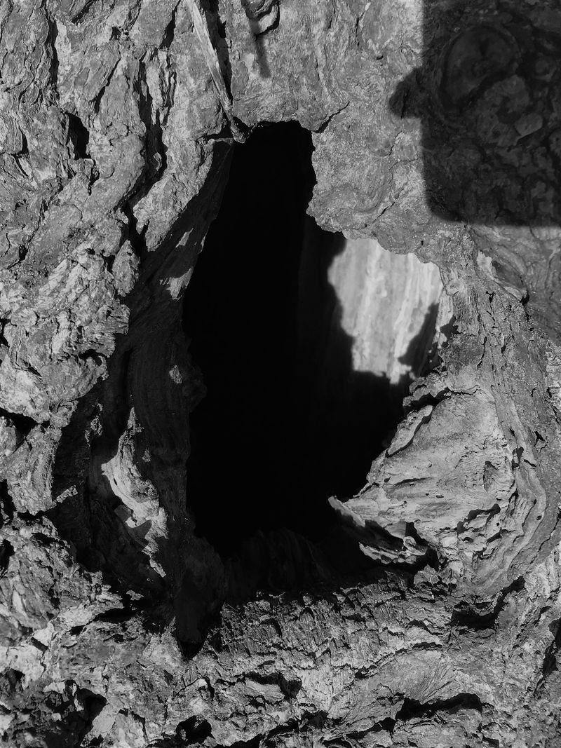 © Monika Blanka Katterwe - "tell us" 1.01.18, Luckenwalde at the royal moat