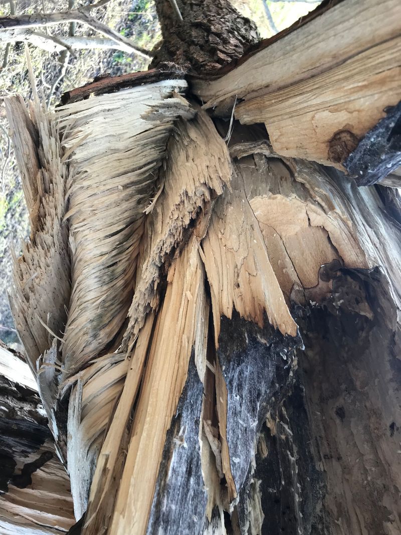 © Monika Blanka Katterwe - "dime you" 1.1.18, Luckenwalde