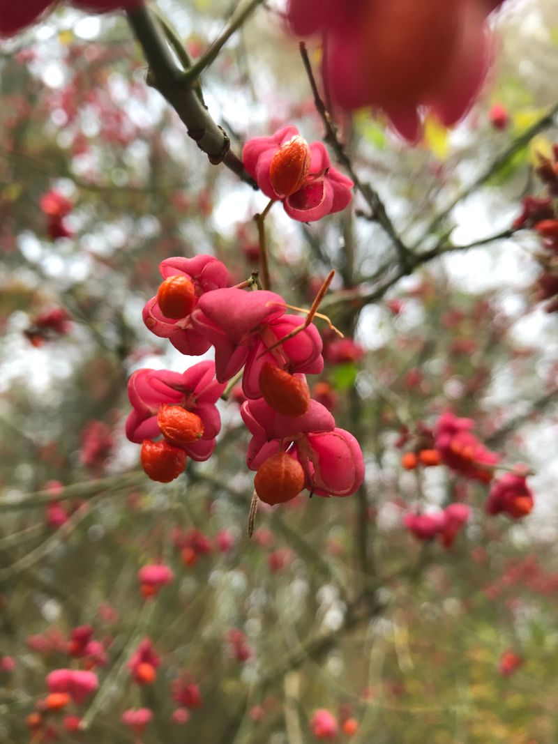 © Monika Blanka Katterwe - "Speaking to..."