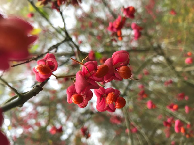 © Monika Blanka Katterwe - "Speaking to..."