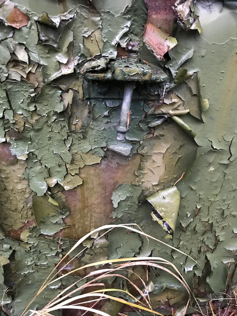 © Monika Blanka Katterwe - "we trust" 25.11.17, Former military training area near Luckenwalde