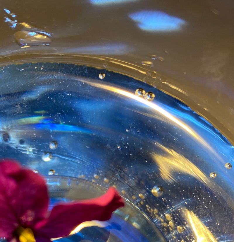 © Monika Blanka Katterwe - may we really be welcomed elsewhere or are we home again?