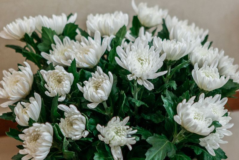 © Goseong Choi - Image from the Umma photography project