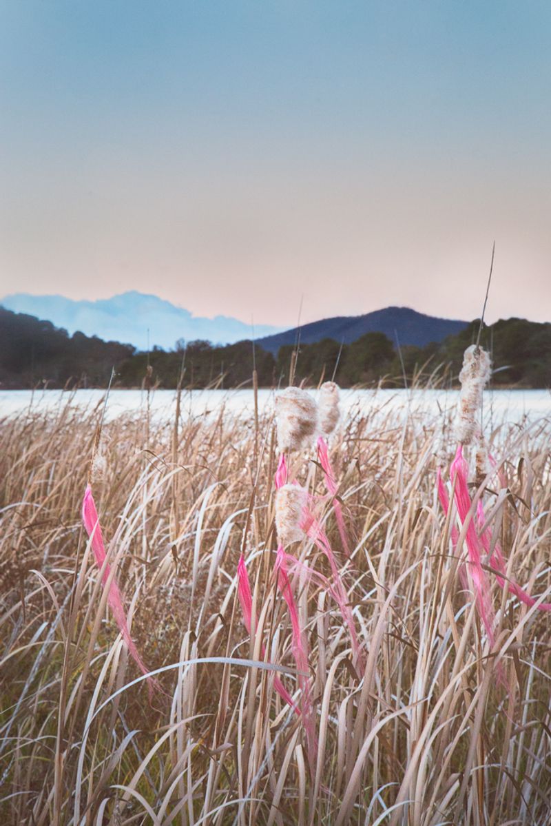 © Sophie Dumaresq - Image from the Matter photography project