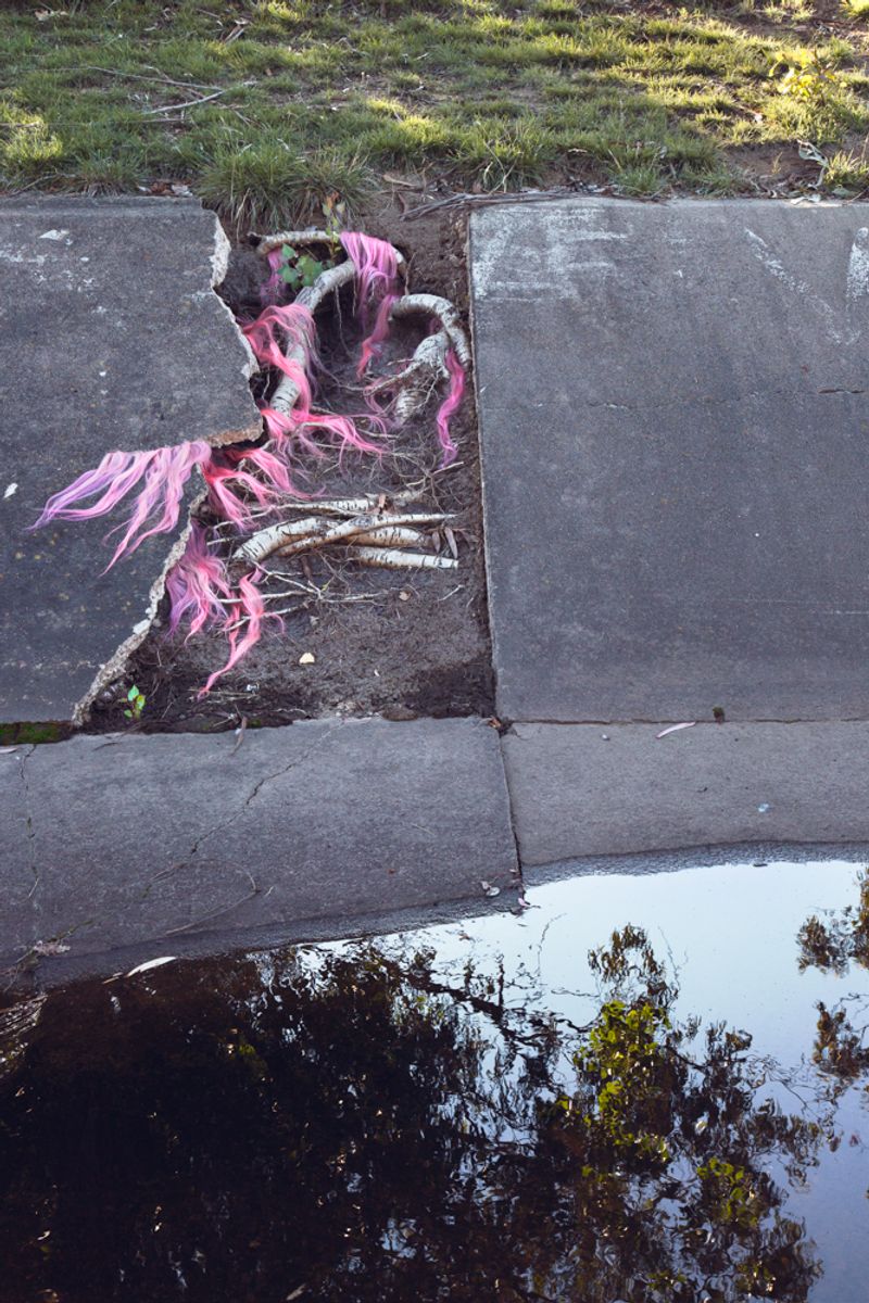 © Sophie Dumaresq - Image from the Matter photography project