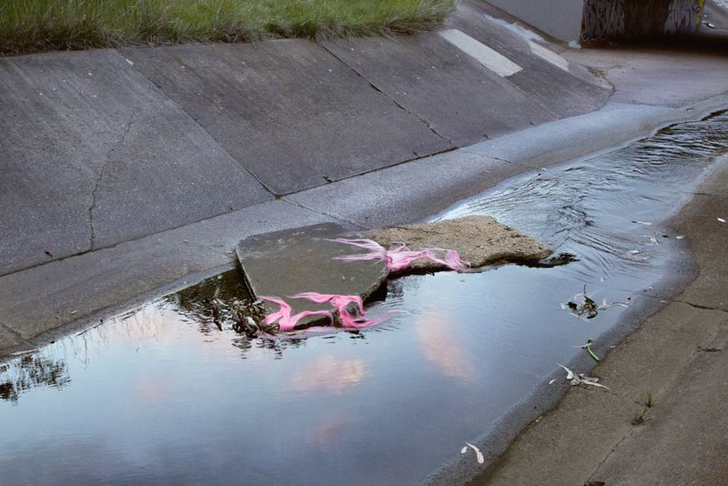 © Sophie Dumaresq - Image from the Matter photography project