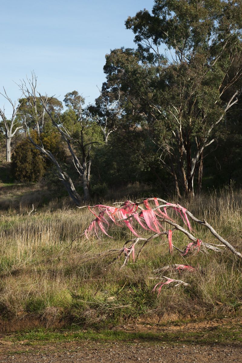 © Sophie Dumaresq - Image from the Matter photography project