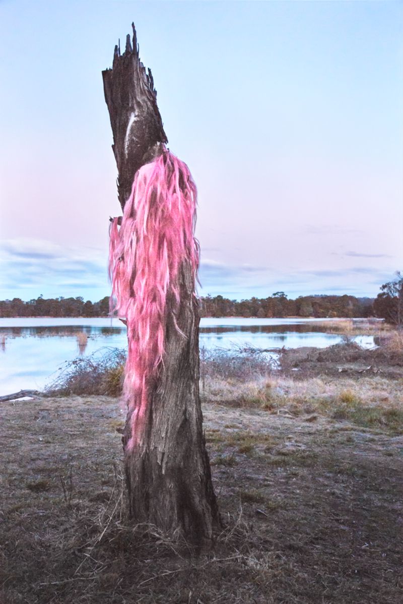 © Sophie Dumaresq - Image from the Matter photography project