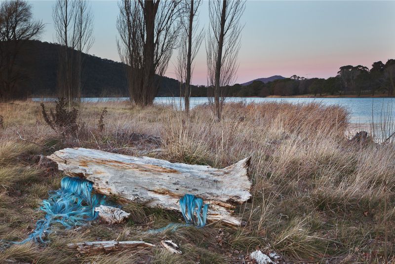 © Sophie Dumaresq - Image from the Matter photography project