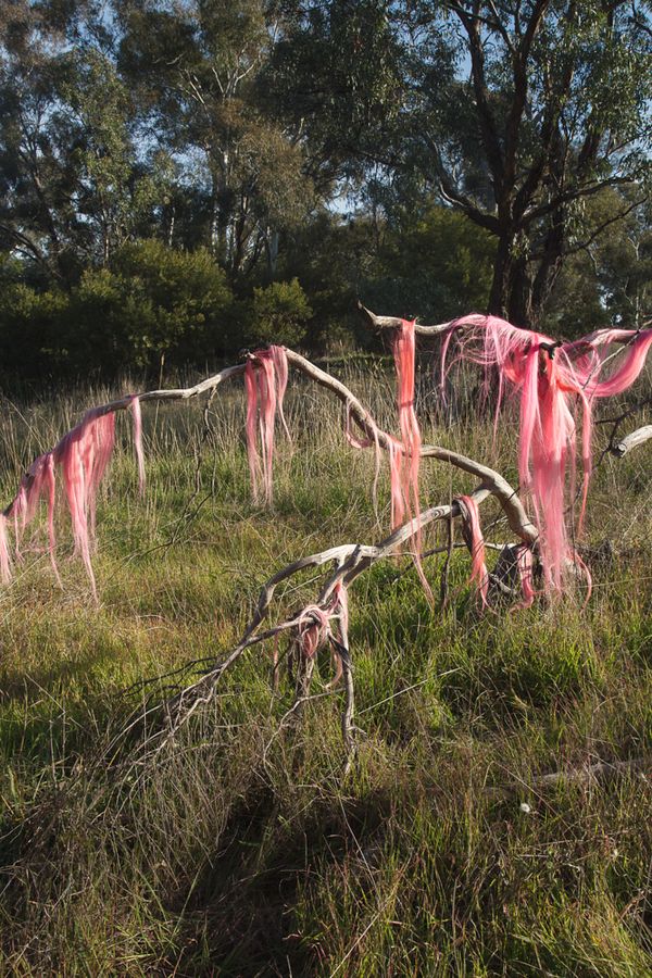 © Sophie Dumaresq - Image from the Matter photography project