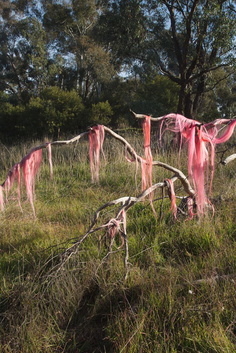 © Sophie Dumaresq - Image from the Matter photography project