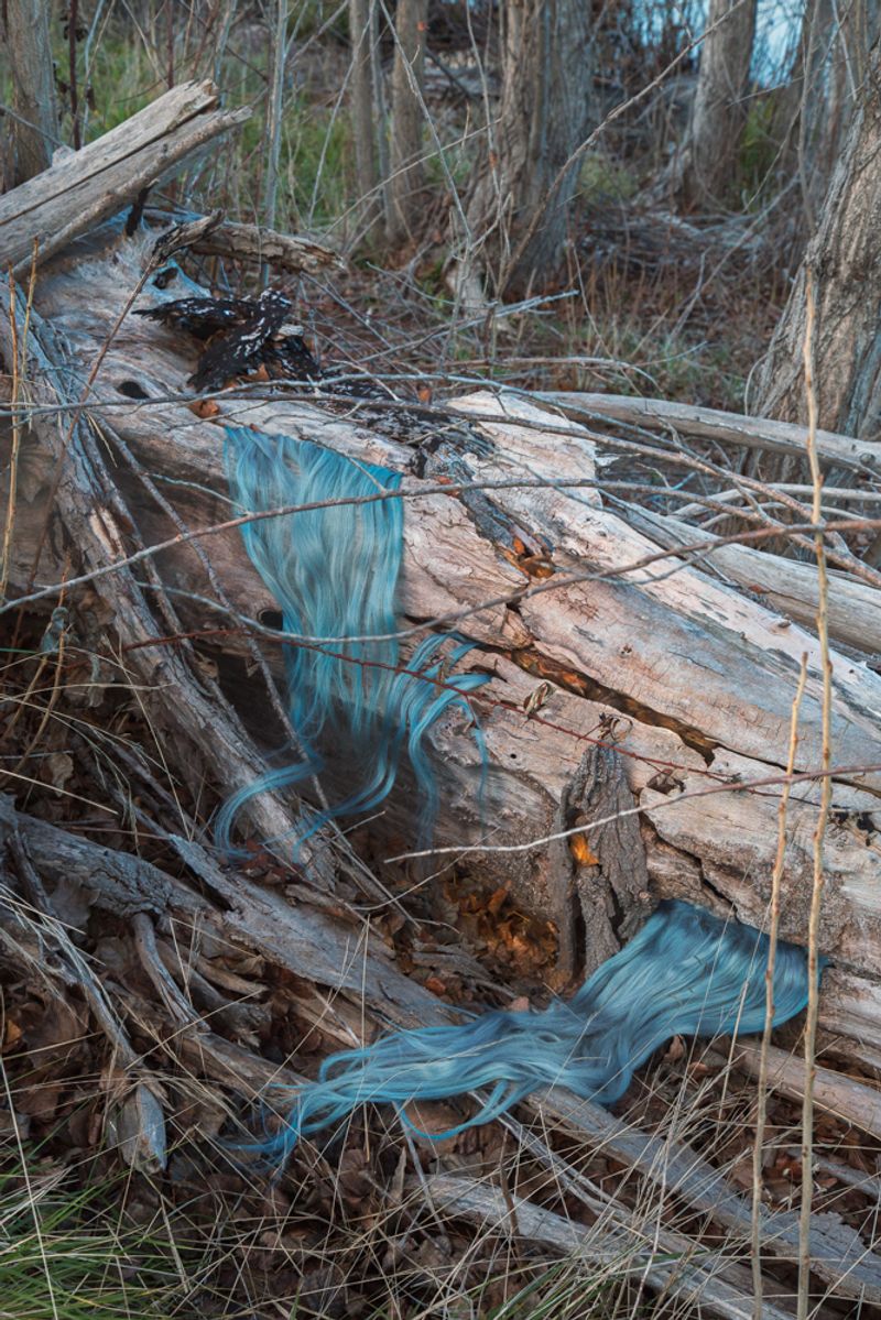 © Sophie Dumaresq - Image from the Matter photography project