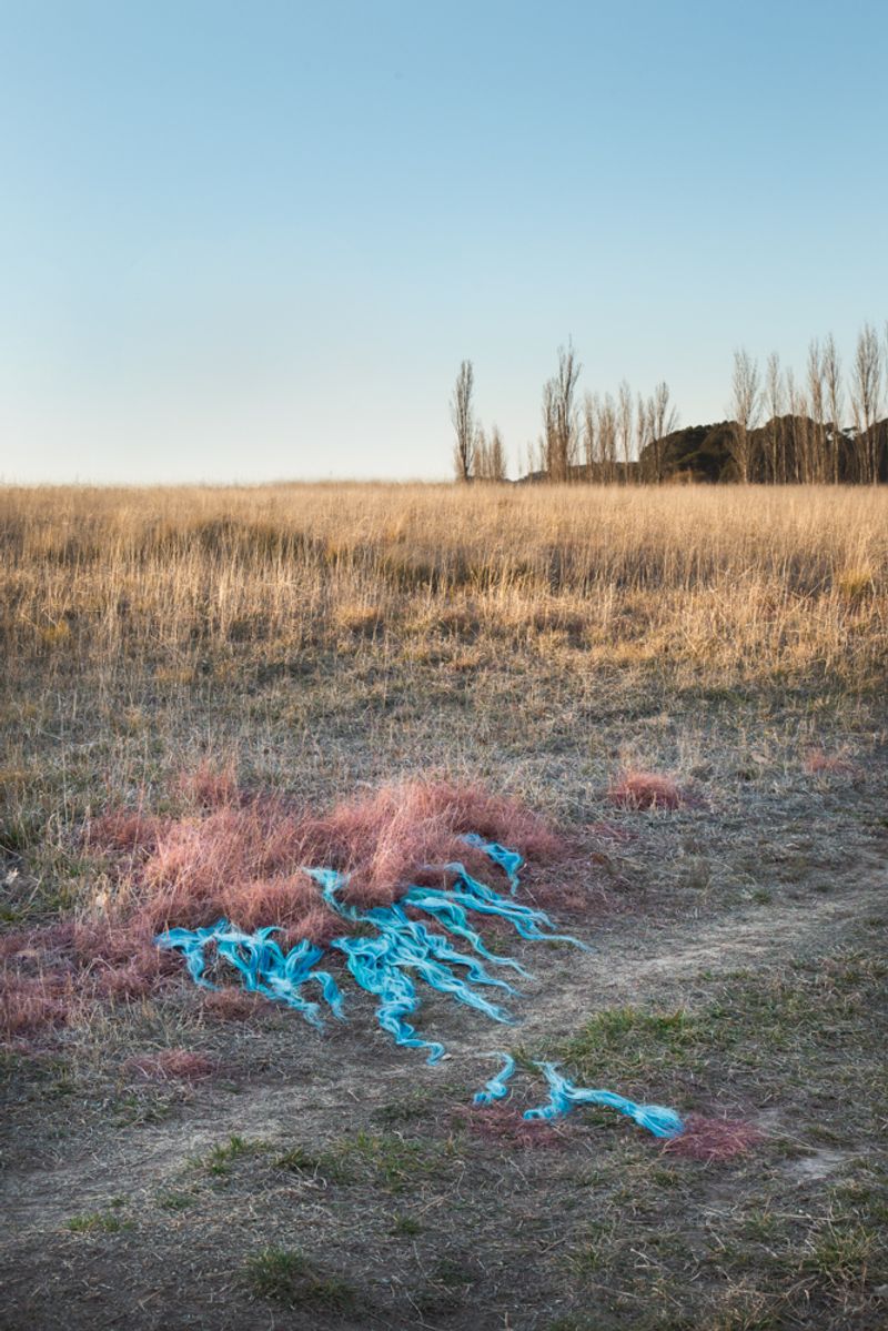 © Sophie Dumaresq - Image from the Matter photography project