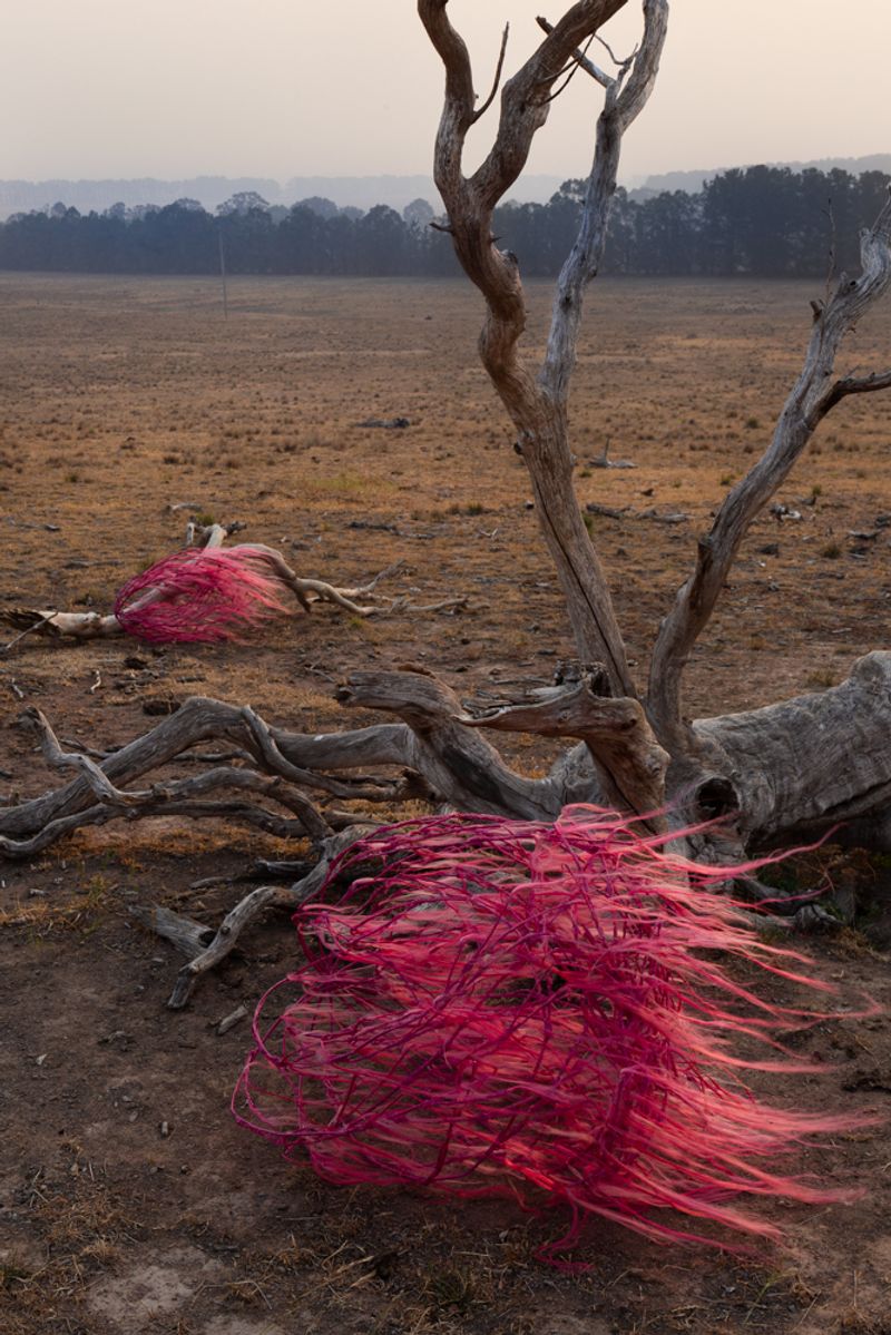 © Sophie Dumaresq - Image from the The Hairy Panic photography project