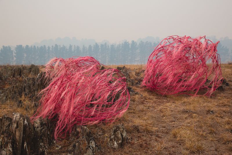 © Sophie Dumaresq - Image from the The Hairy Panic photography project