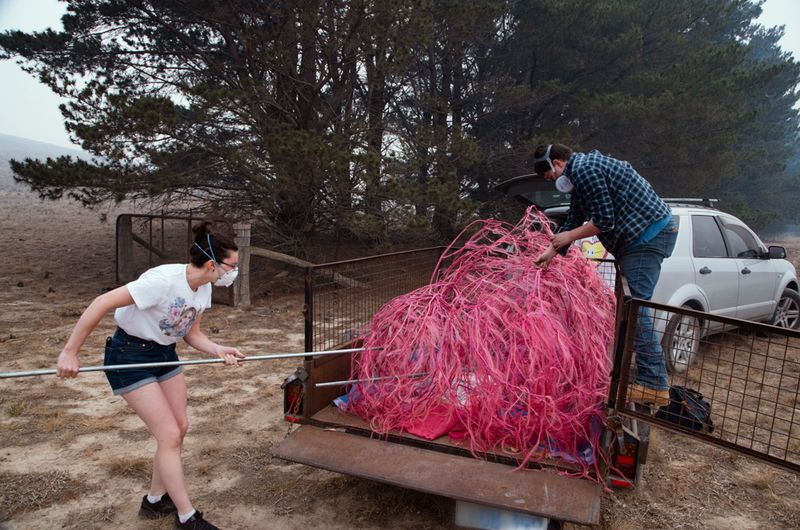 © Sophie Dumaresq - Image from the The Hairy Panic photography project