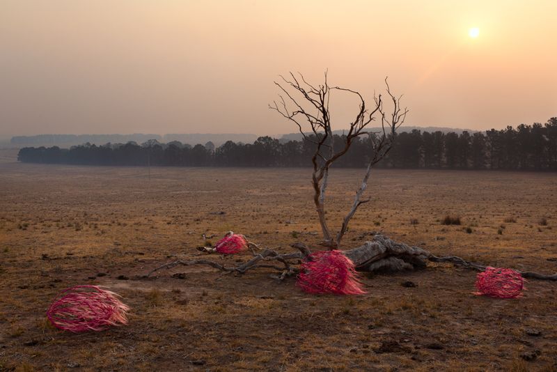 © Sophie Dumaresq - Image from the The Hairy Panic photography project