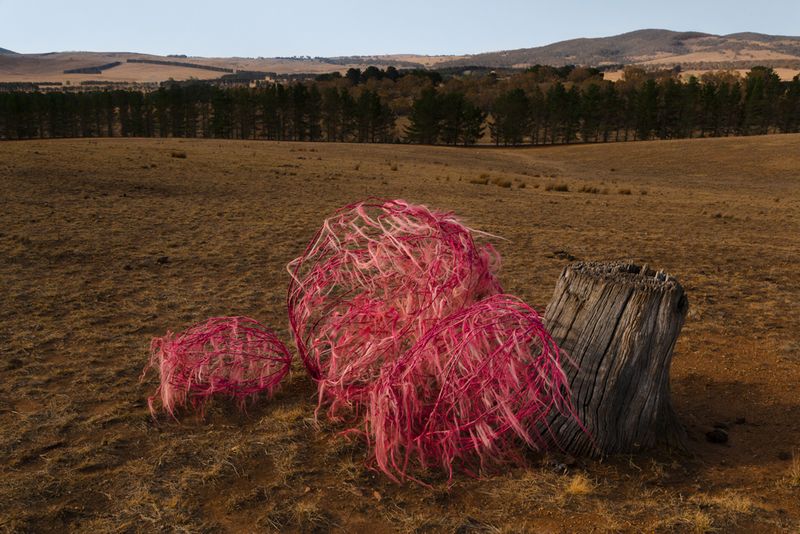 © Sophie Dumaresq - Image from the The Hairy Panic photography project